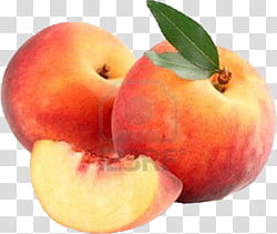 Fruits  ping s, two red apple fruits transparent background PNG clipart