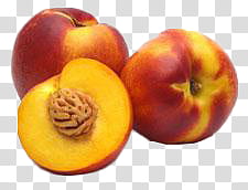 Fruits  ping s, two whole and a half slice red apricots transparent background PNG clipart