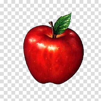 Fruits, red apple illustration transparent background PNG clipart