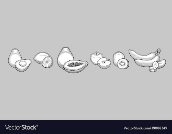 fruits set thin lines