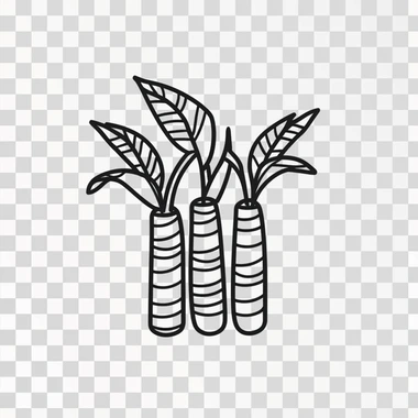 fruits sugar cane icon, minimal, black and white, isolated —