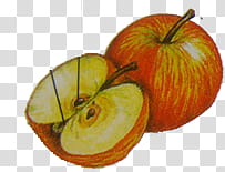 Fruits , two red apples transparent background PNG clipart