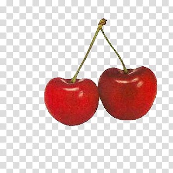 Fruits, two red cherries in stalk illustration transparent background PNG clipart
