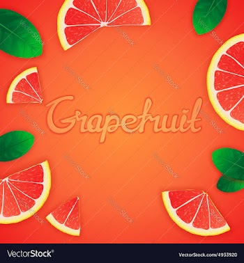 Fruity grapefruit background vector image