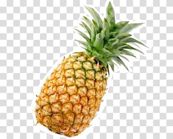 Frutas, pineapple fruit illustration transparent background PNG clipart