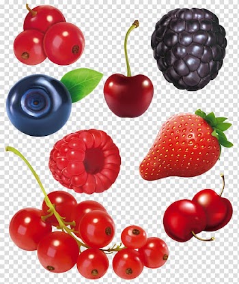 Frutti di bosco Fruit Blackberry, Cartoon Fruit Collection transparent background PNG clipart