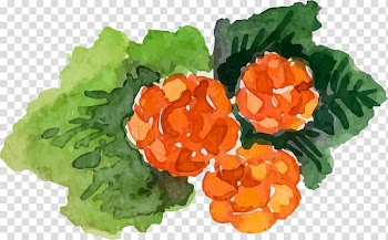 Frutti di bosco Icon, Hand painted watercolor berries transparent background PNG clipart