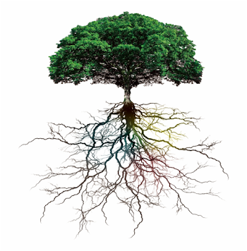 ftestickers #tree#roots #freetoedit - Tree With Roots Transparent ...