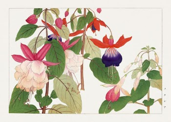 Fuchsia flower, Japanese woodblock art | Free Photo Illustration - rawpixel