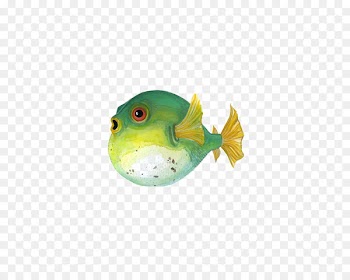 Fugu Painted fish Painting Illustration - Puffer fish 