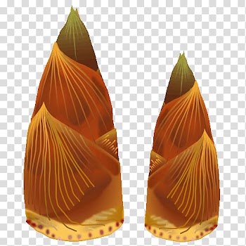 Fuki Bamboo shoot Sansai Vegetable Food, vegetable transparent background PNG clipart