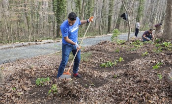 Fulbright MENA Community Service Activities | Free Photo - rawpixel