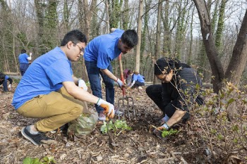 Fulbright MENA Community Service Activities | Free Photo - rawpixel