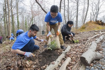 Fulbright MENA Community Service Activities | Free Photo - rawpixel