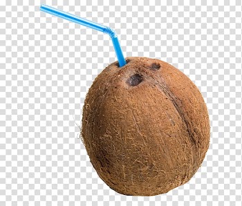 Full, coconut fruit transparent background PNG clipart