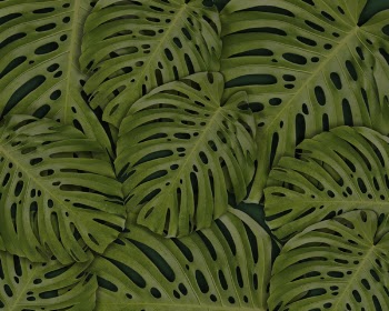 Full Frame Photography of Leaves