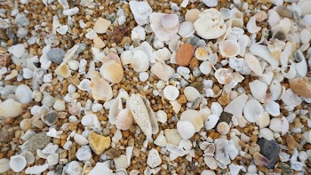 Full Frame Shot of Stones