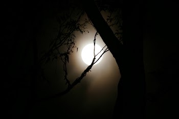 Full moon