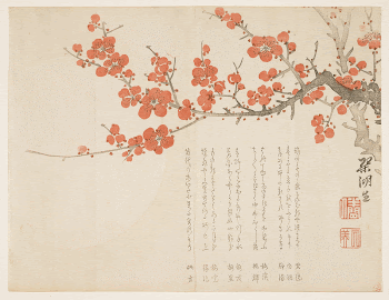 Full Moon and Plum BlossomsOriginal | Free Photo - rawpixel