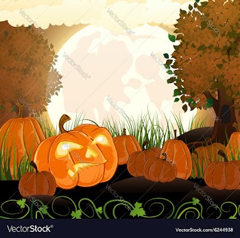 Full moon and pumpkins vector image