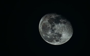 full moon digital wallpaper
