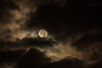 full moon during night time