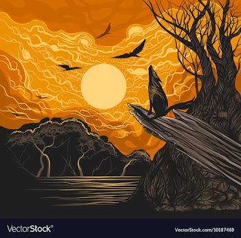 Full moon vector image