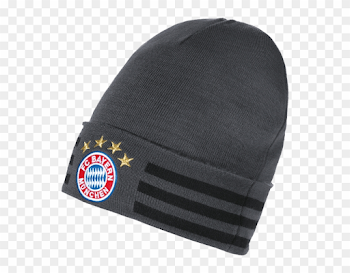 Fullscreen - Fc Bayern Munich, HD Png Download - 660x660(#951420 ...