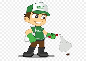 Fumigaciones RADI Pest Mosquito Cockroach Insect - baratapng flyer 