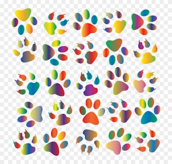 Fun Borders For Word 11, Buy Clip Art - Colorful Paw Print Background