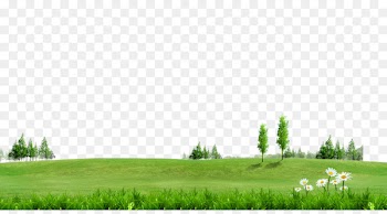 Fundal Information - Green grass trees on green background material 
