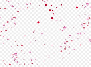 Fundal Petal Adobe Illustrator - Peach petals,festival,Flowers,Fall decoration,Pink Creative,Petals wedding,Rose Petals 