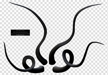 Fune Tentacle , five black lines transparent background PNG clipart