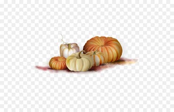 Fungus Autumn Scrapbooking Clip art - pumpkin 