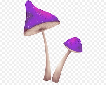 Fungus Mushroom Clip art - Purple mushrooms 
