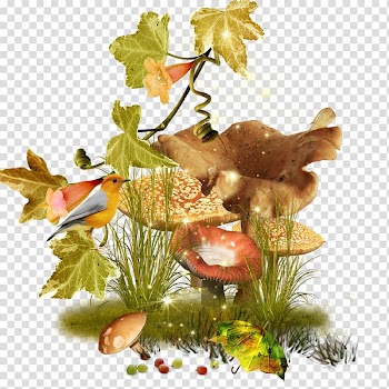 Fungus Presentation Poisonous mushroom Edible mushroom, mushroom transparent background PNG clipart