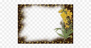 Funky Frames For Photoshop Picture Collection Ideas - Png Images Photo Frame