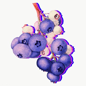 Funky neon halftone blueberry branch with neon outline sticker overlay | Free  transparent png - 2340740