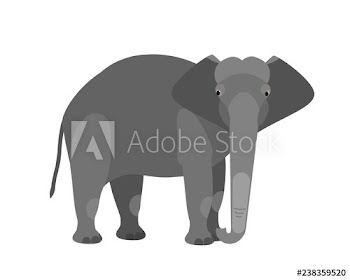 Funny adorable cute elephant isolated on white background