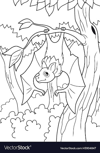 funny bat