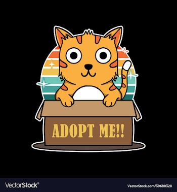 funny cat hold box sign adopt me