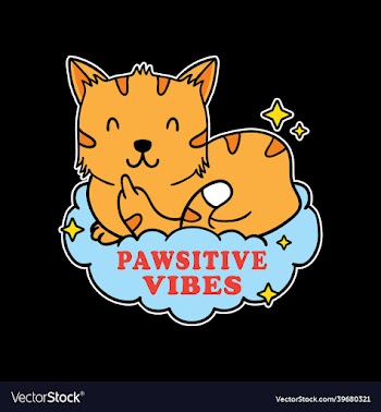 funny cat showing you symbol