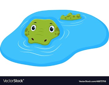 funny crocodile in water on white background