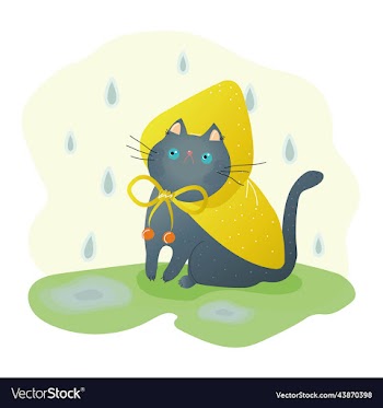 funny gray cat in a displeased mood in a yellow