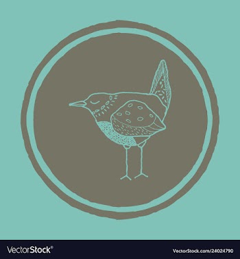 Funny hand drawn abstract bird ilustration vector image
