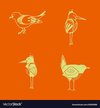 Funny hand drawn abstract bird ilustration vector image