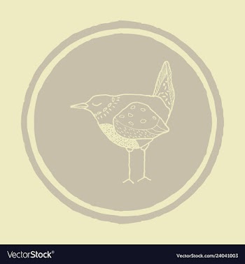 Funny hand drawn abstract bird ilustration vector image