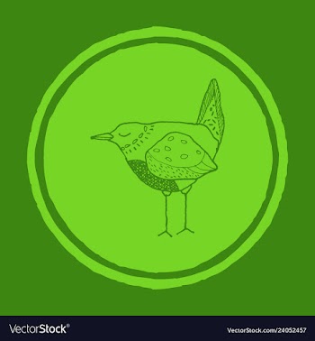 Funny hand drawn abstract bird ilustration vector image