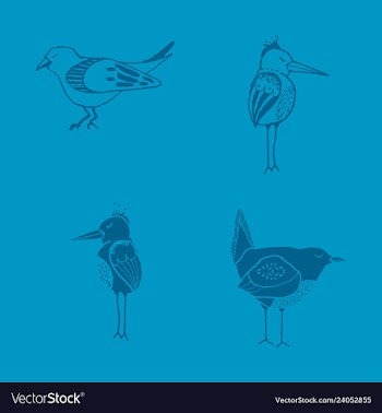 Funny hand drawn abstract bird ilustration vector image