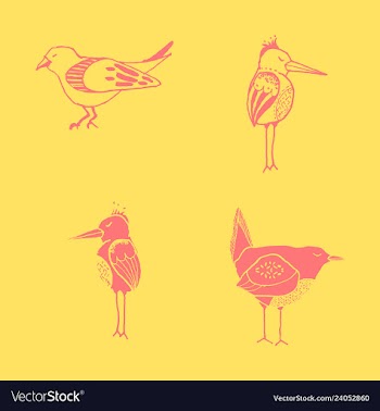 Funny hand drawn abstract bird ilustration vector image